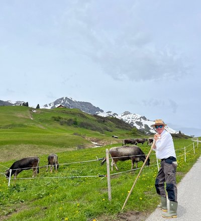 Die Kühe dürfen erstmals auf die Weide 